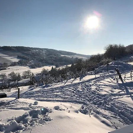 Entre Vignes Et Campagne Homestay *